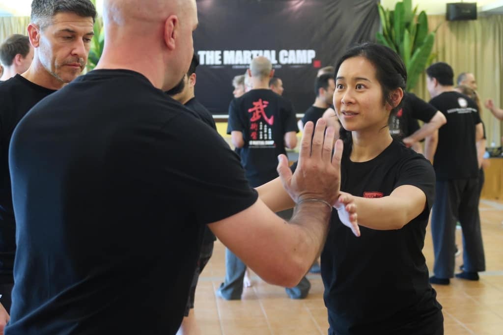 INTERNAL MARTIAL ARTS TRAINING THE MARTIAL CAMP