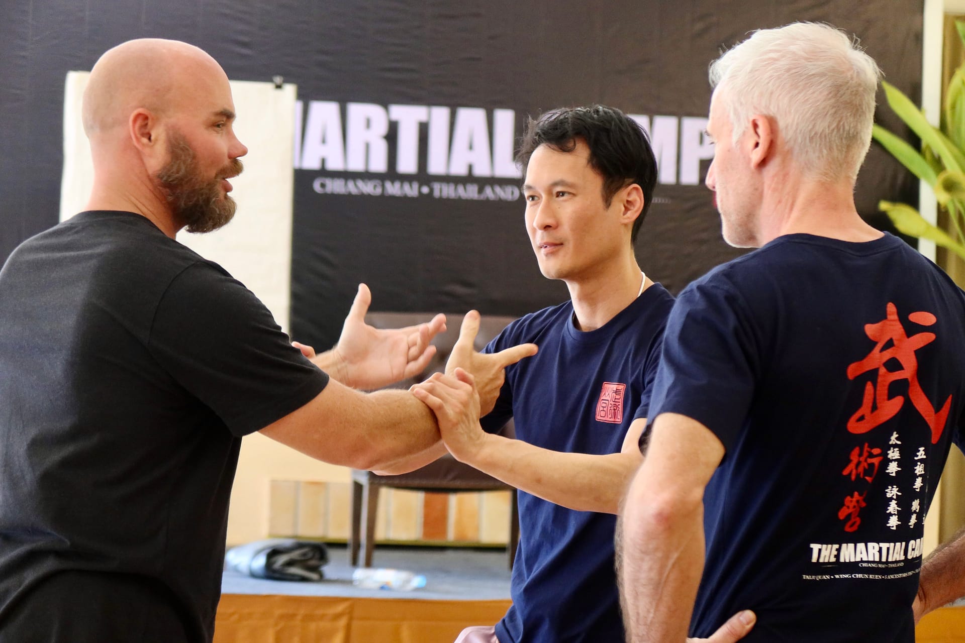 INTERNAL MARTIAL ARTS TRAINING THE MARTIAL CAMP